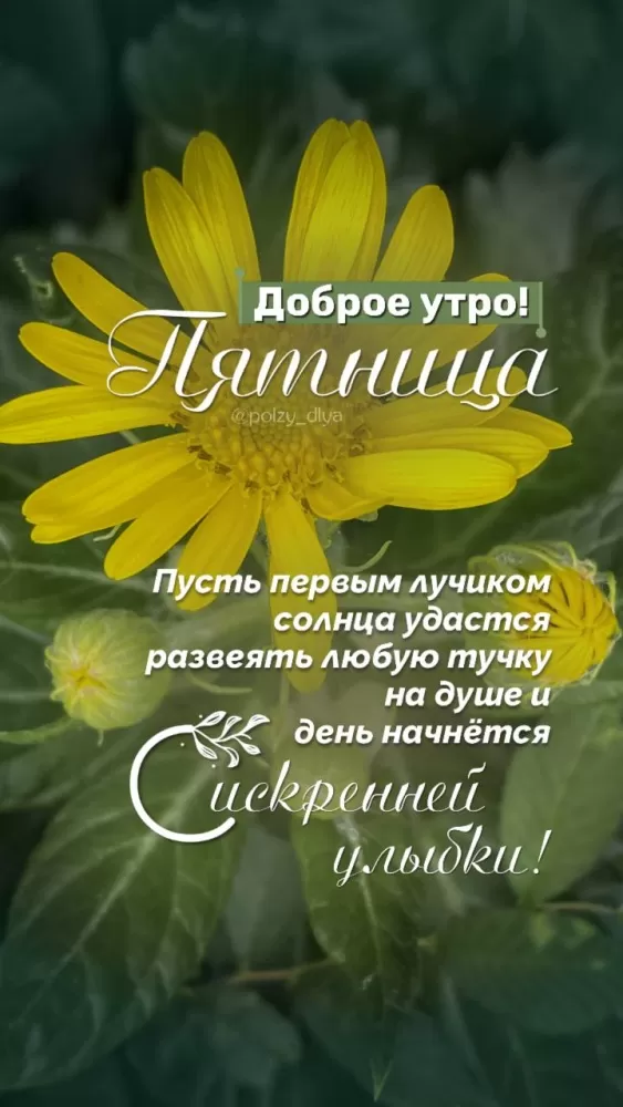 Картинки с Пятницей красивые и прикольные. Картинки Доброе утро пятницы