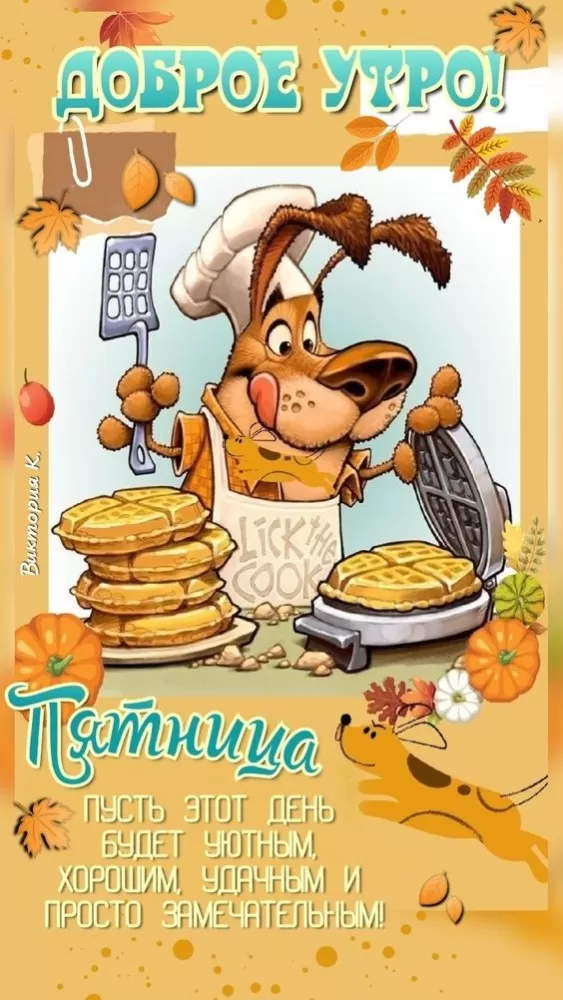 Картинки с Пятницей красивые и прикольные. Прикольные картинки С Пятницей