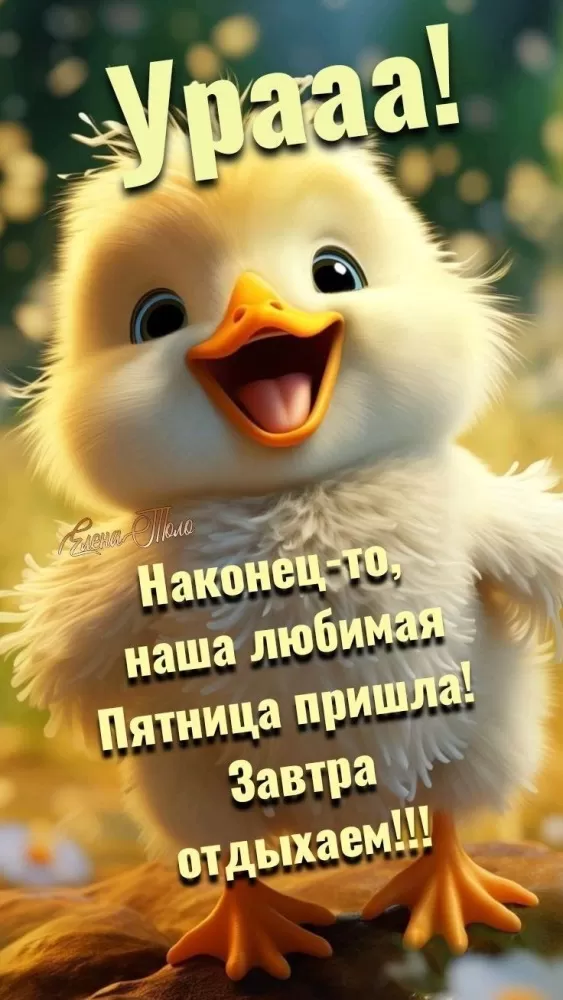 Картинки с Пятницей красивые и прикольные. Прикольные картинки С Пятницей