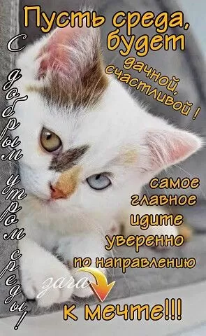 Красивые картинки Доброе утро среды. Доброе утро среда - картинки новые с надписями