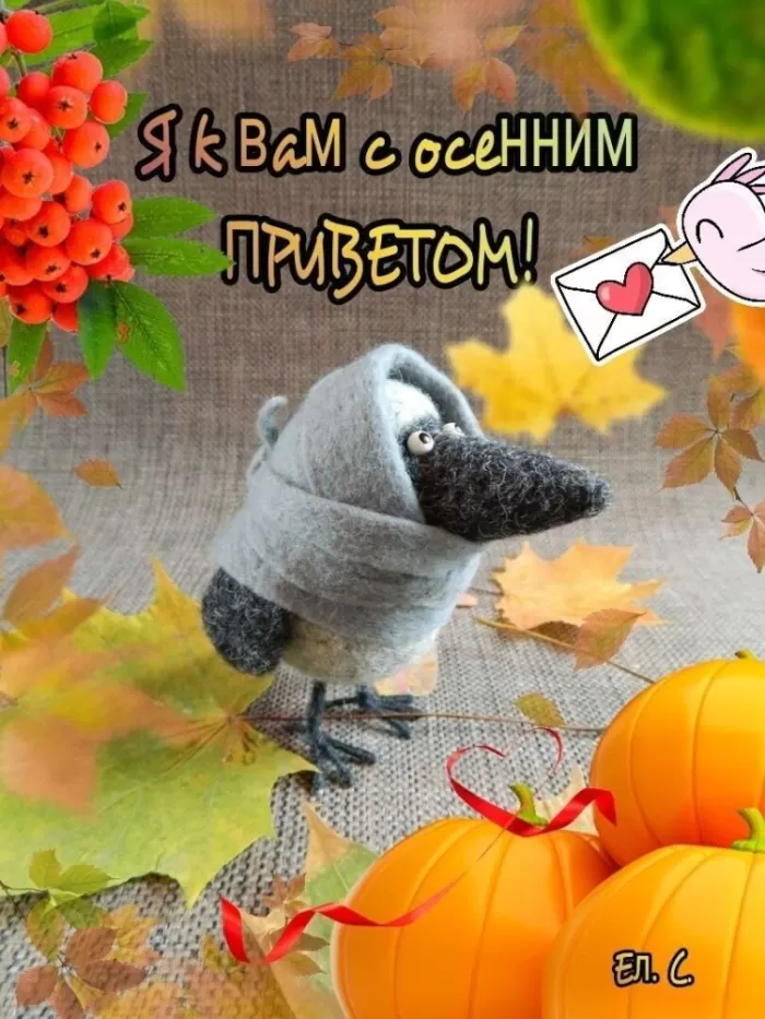 Прикольные картинки для вашего настроения. Веселые и прикольные картинки для настроения