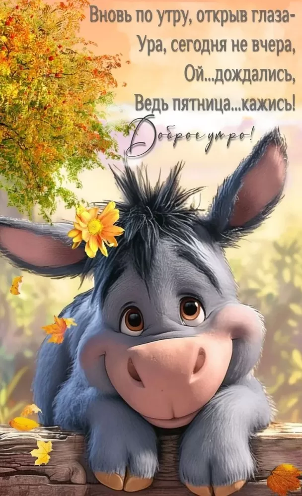 Картинки с Пятницей красивые и прикольные. Картинки Доброе утро пятницы