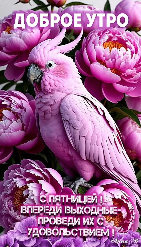 Картинки с Пятницей красивые и прикольные. Картинки Доброе утро пятницы