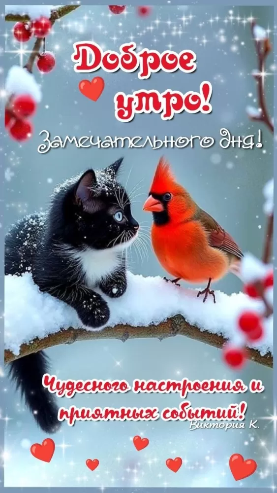 Зимние картинки Доброе утро (50 открыток). Доброе утро - открытки зимние, позитивные