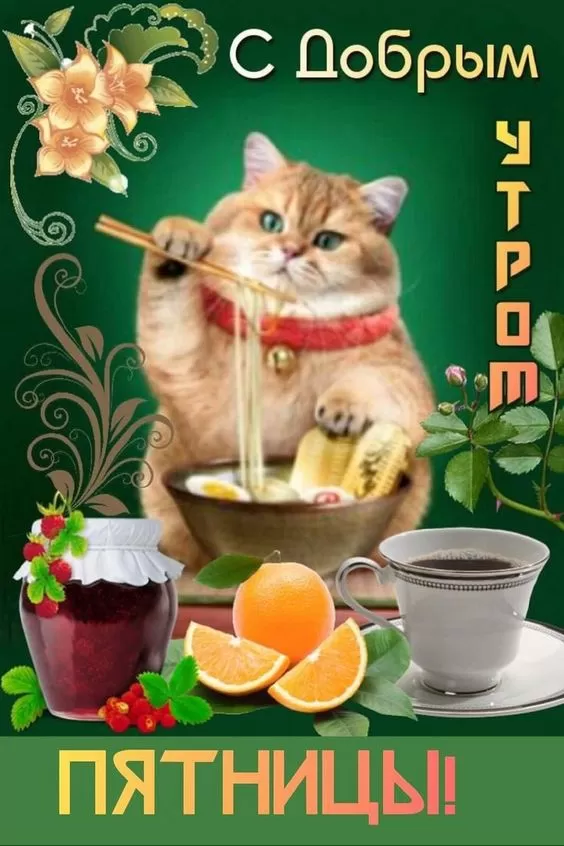 Картинки с Пятницей красивые и прикольные. Картинки Доброе утро пятницы