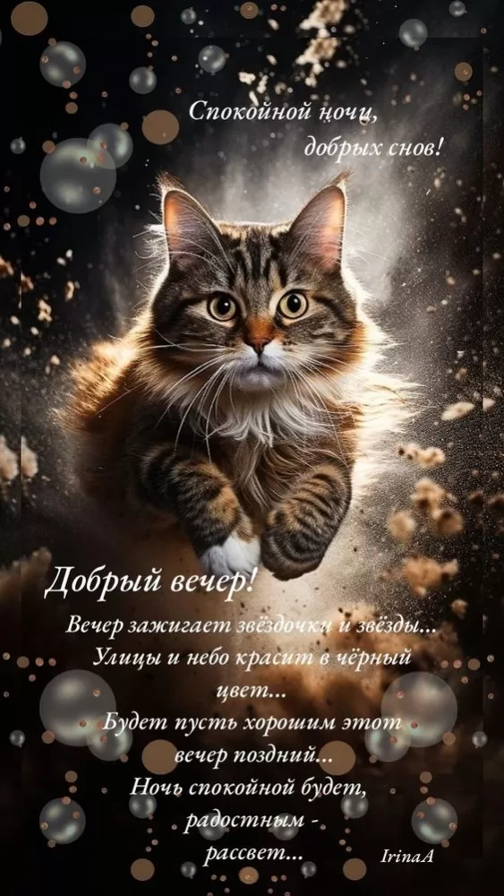 Красивые зимние картинки Доброй ночи. Доброй ночи - зимние картинки с котиками