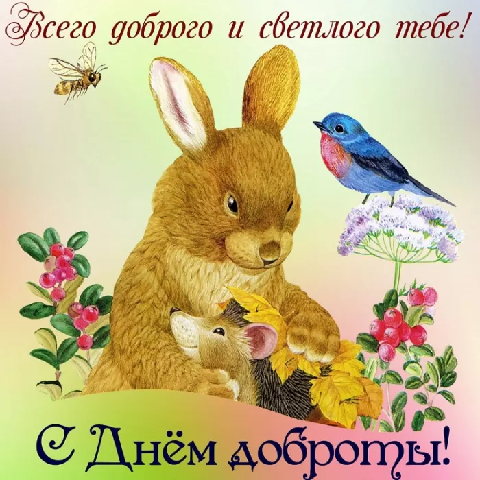 Картинки С Всемирным Днем доброты. Всемирный день доброты - картинки прикольные