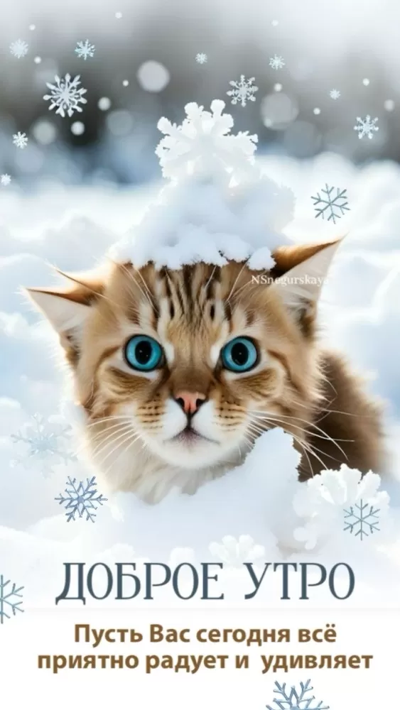 Зимние картинки Доброе утро (50 открыток). Доброе утро - открытки зимние, позитивные