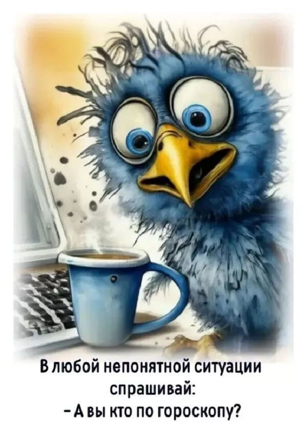 Прикольные картинки для вашего настроения. Веселые и прикольные картинки для настроения