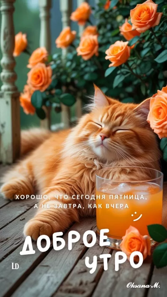 Картинки с Пятницей красивые и прикольные. Прикольные картинки С Пятницей