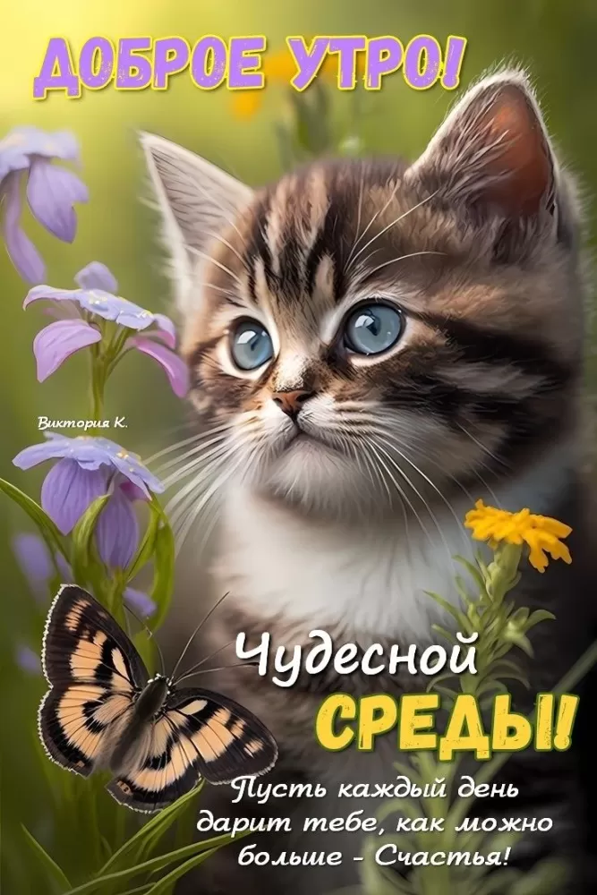 Красивые картинки Доброе утро среды. Доброе утро среда - картинки новые с надписями