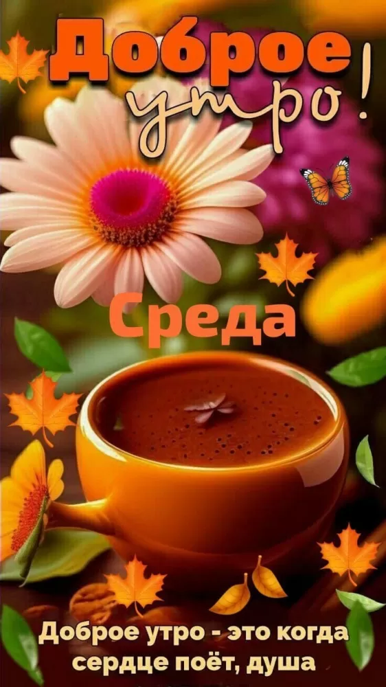 Красивые картинки Доброе утро среды. Картинки Доброе утро среды