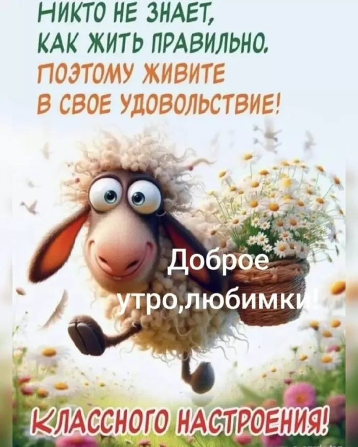 Прикольные картинки для вашего настроения. Картинки для настроения: прикольные и позитивные