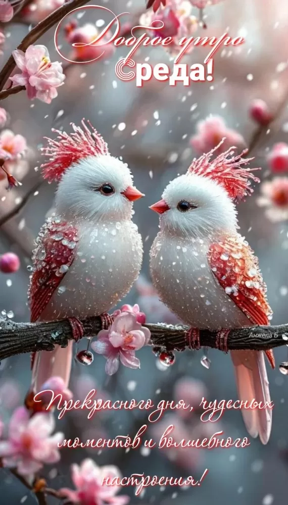 Красивые картинки Доброе утро среды. Доброе утро среда - картинки новые с надписями