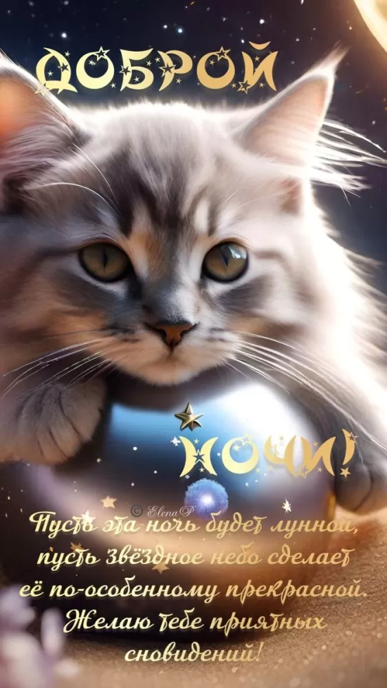 Красивые зимние картинки Доброй ночи. Доброй ночи - зимние картинки с котиками