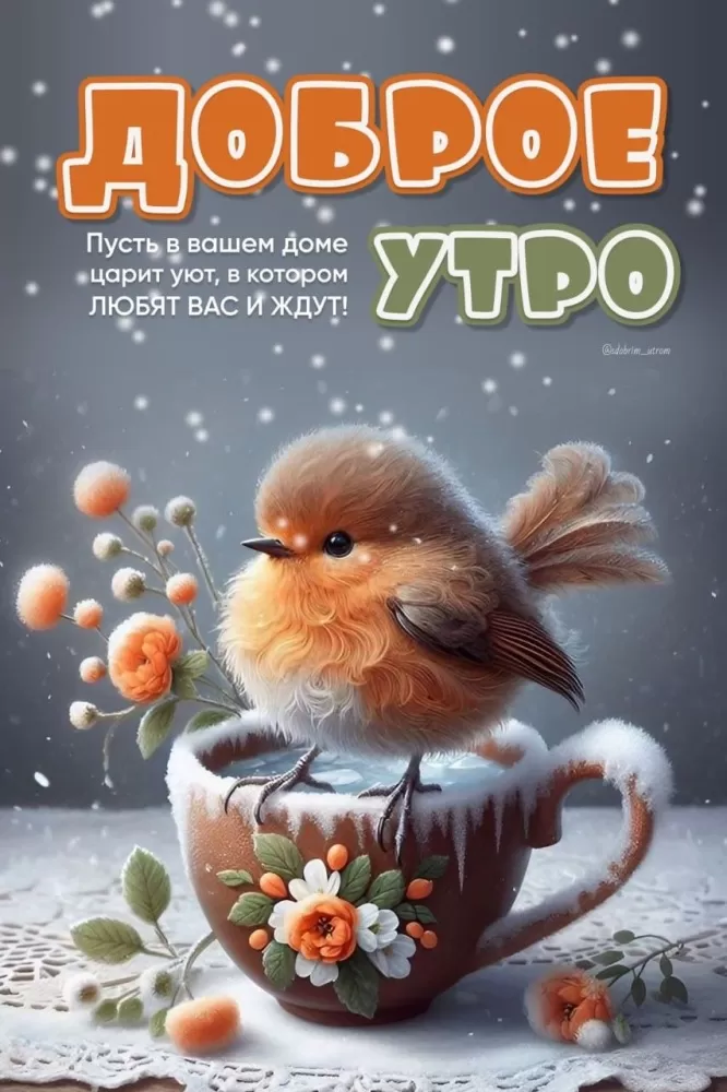 Зимние картинки Доброе утро (50 открыток). Доброе утро - открытки зимние, позитивные