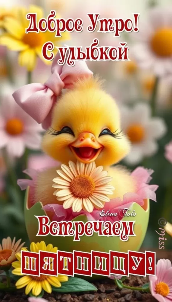 Картинки с Пятницей красивые и прикольные. Картинки Доброе утро пятницы