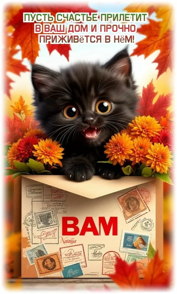 Прикольные картинки для вашего настроения. Прикольные картинки для поднятия настроения