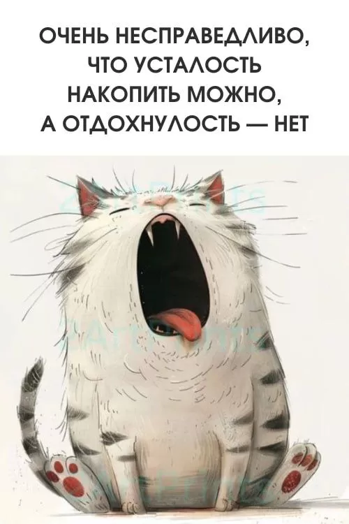 Прикольные картинки для вашего настроения. Картинки для настроения: прикольные и позитивные