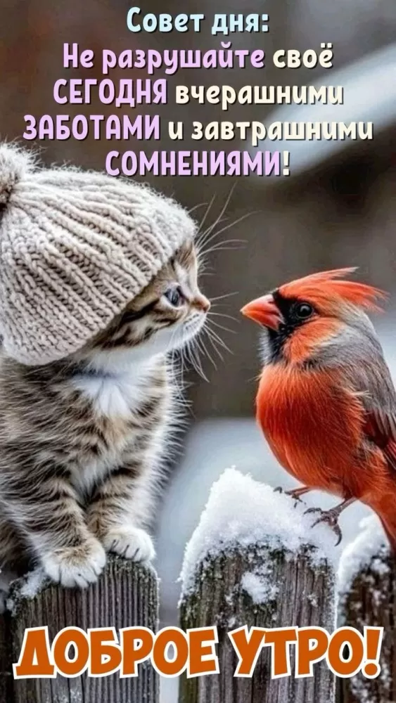 Зимние картинки Доброе утро (50 открыток). Доброе утро - открытки зимние, позитивные