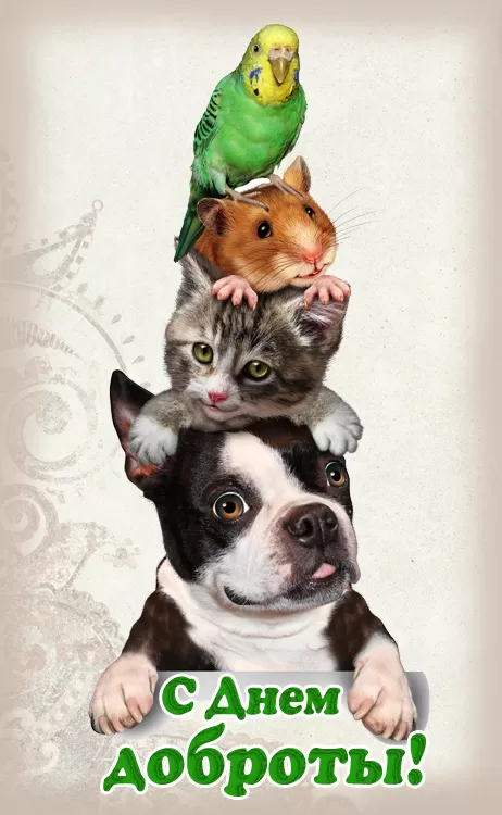 Картинки С Всемирным Днем доброты. Картинки С Всемирным Днем доброты (новые и красивые)