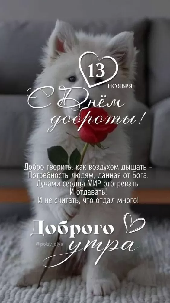 Картинки С Всемирным Днем доброты. Картинки С Всемирным Днем доброты (новые и красивые)