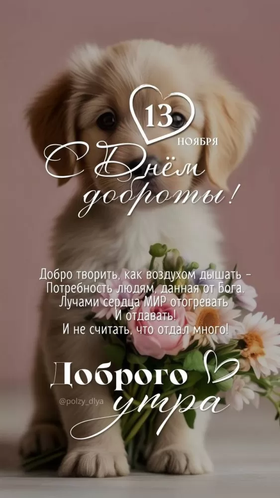 Картинки С Всемирным Днем доброты. Картинки С Всемирным Днем доброты (новые и красивые)