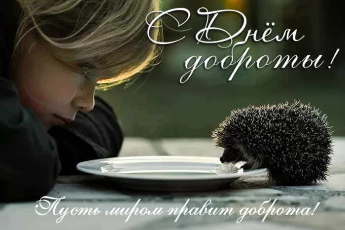 Картинки С Всемирным Днем доброты. Трогательные картинки с Днем добраты